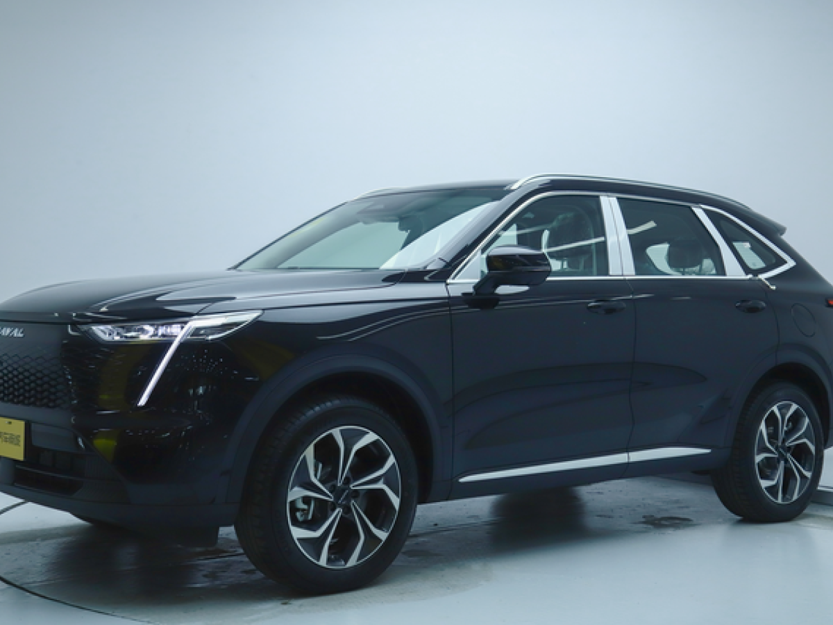 Haval X Dog 2 New Energy 2025 car image #2