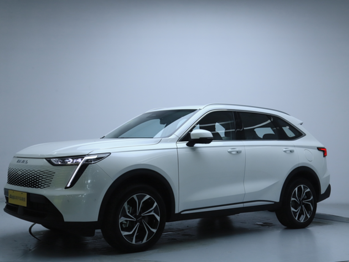 Haval Fierce Dragon MAX 2025 car image #2