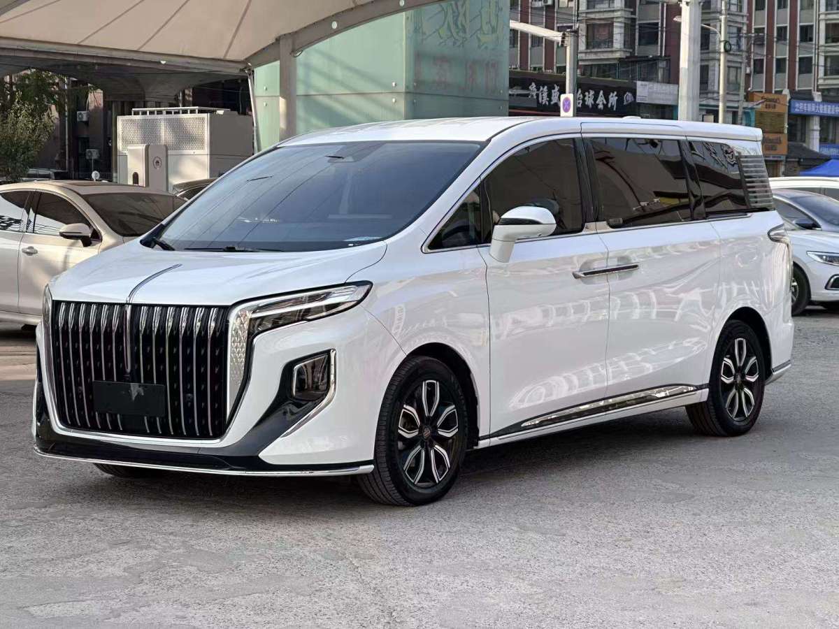 HongQi HQ9 2023 car image #2