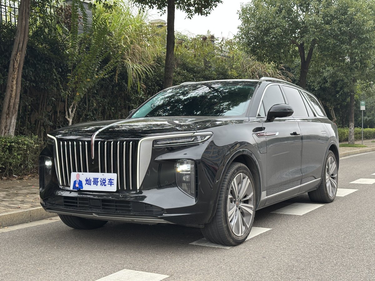 HongQi E-HS9 2022 #2 HongQi E-HS9 2022 car image #2