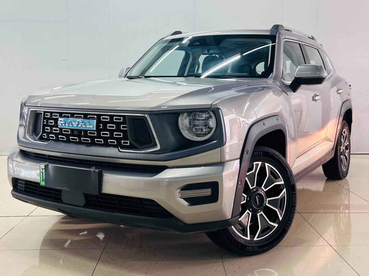 Haval X Dog 2 New Energy 2023 car image #2