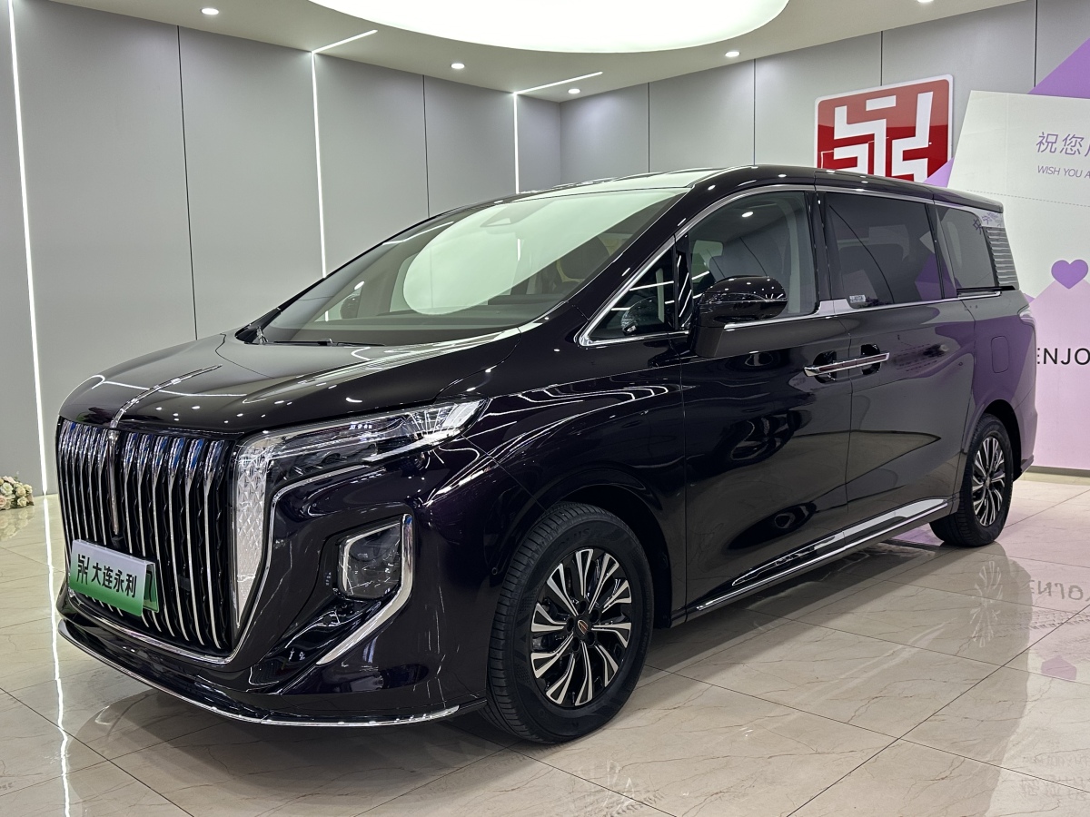HongQi HQ9 PHEV 2024 car image #2