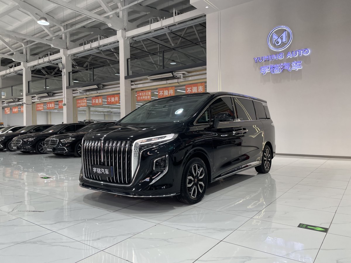 HongQi HQ9 2023 immagine di auto #2