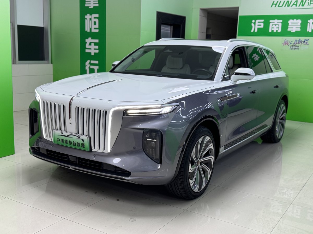HongQi E-HS9 2021 immagine di auto #2