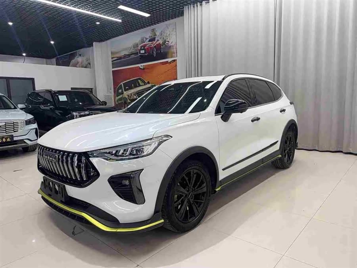 Haval Rabbit 2021 imagem de carro #2