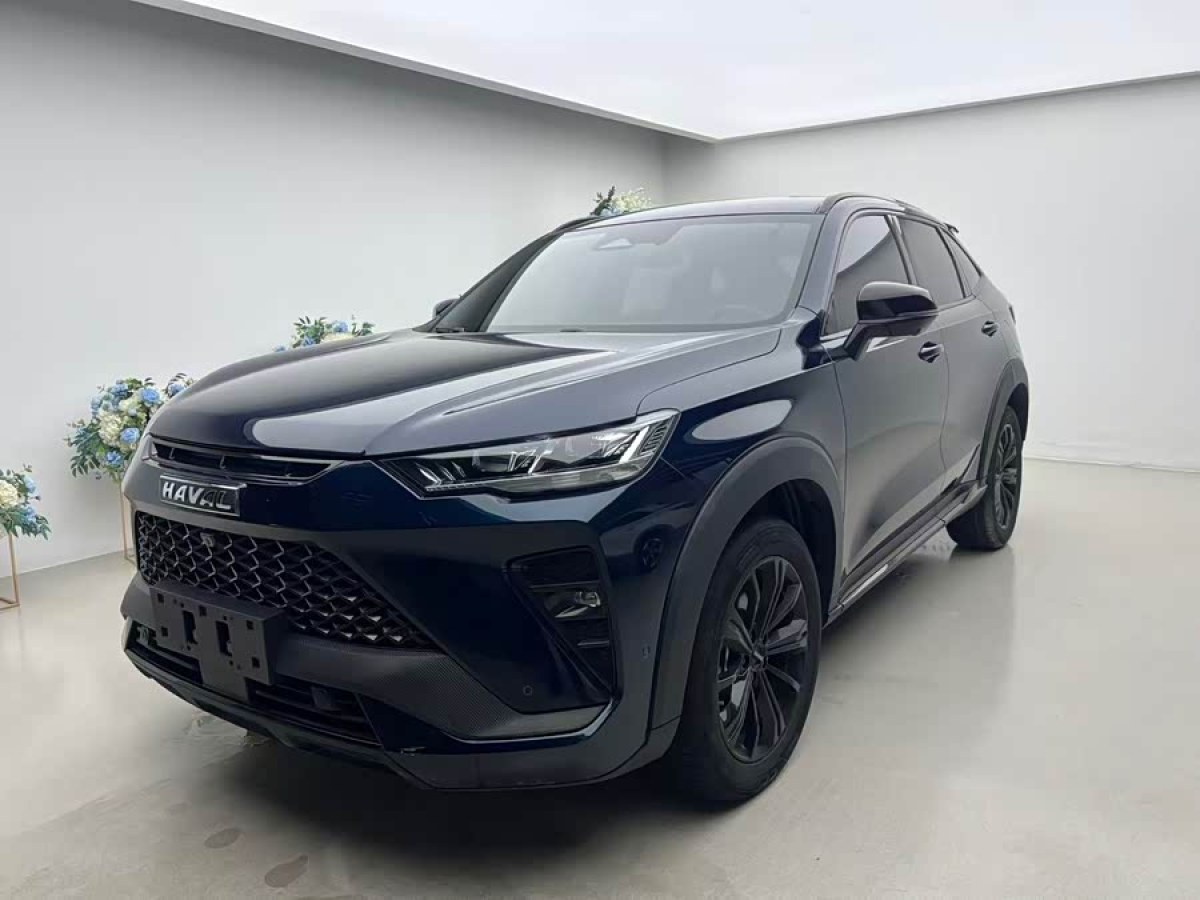 Haval H6S 2022 immagine di auto #2