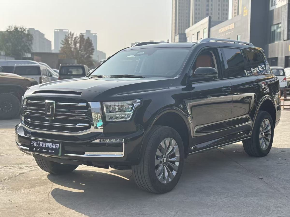 Tank 500 New Energy 2024 car image #2