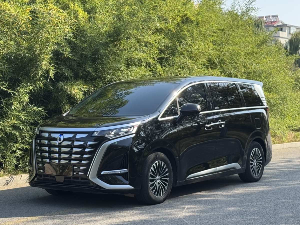 腾势 腾势D9 2024 汽车图片 #2