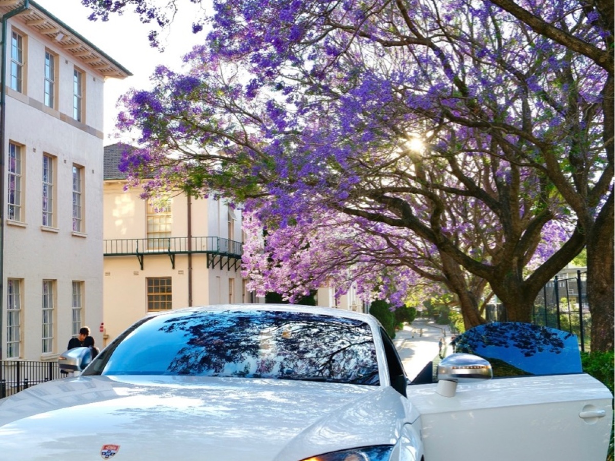 Audi TTS 2013 car image #2