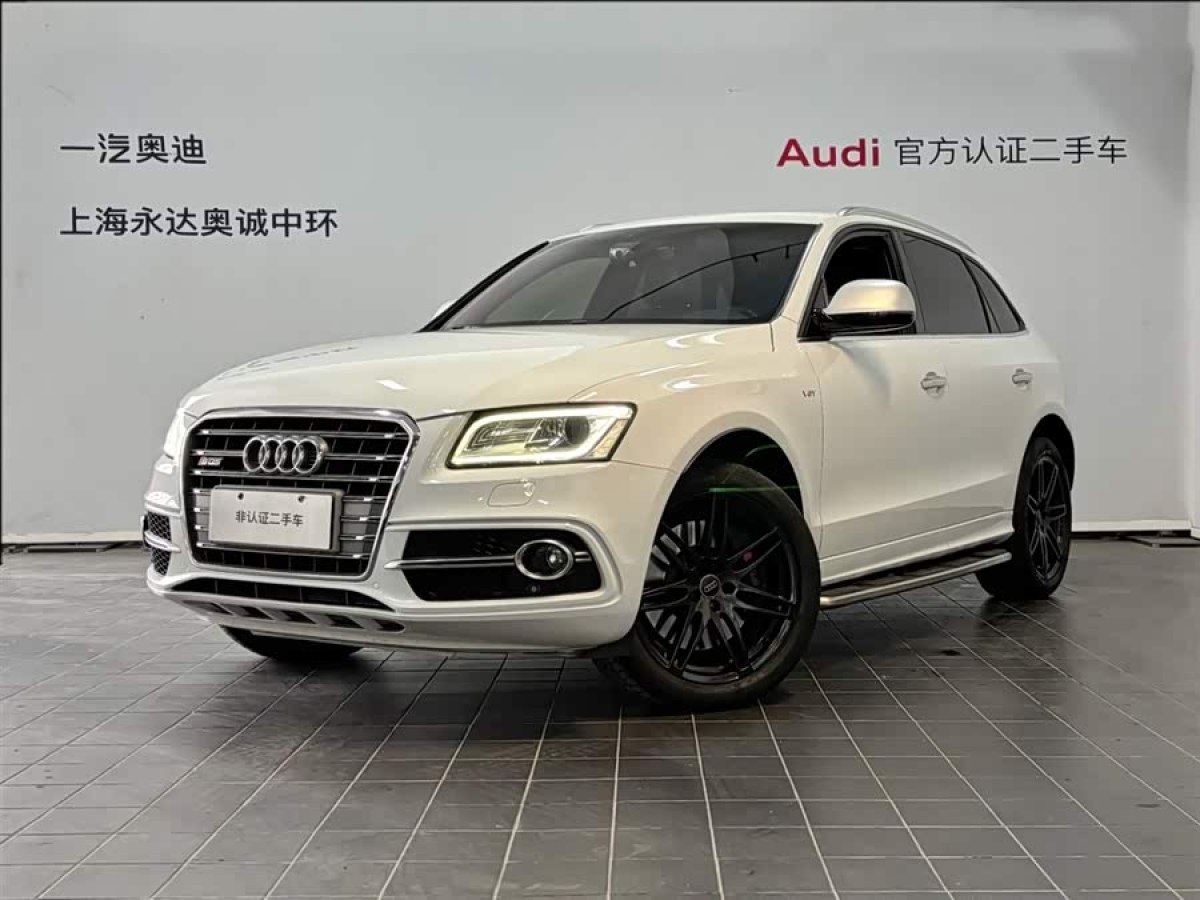 Audi SQ5 2017 imagem de carro #2