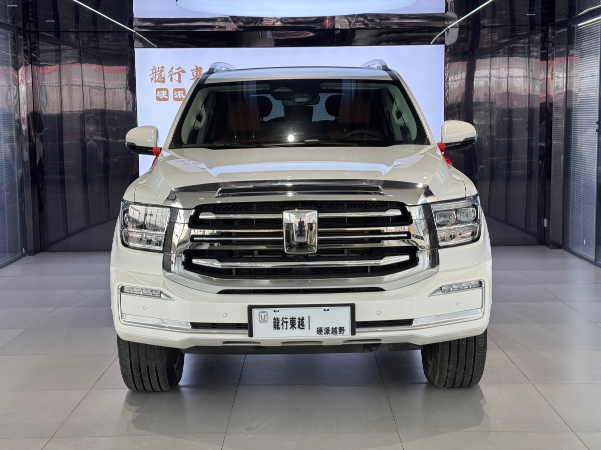 Tank 500 2024 imagen de coche #2