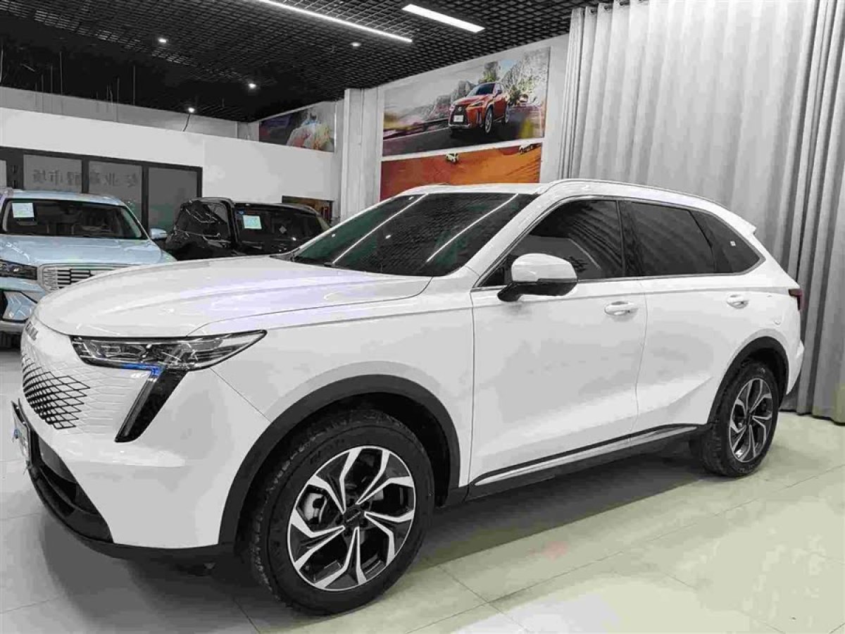 Haval Fierce Dragon MAX 2023 car image #2