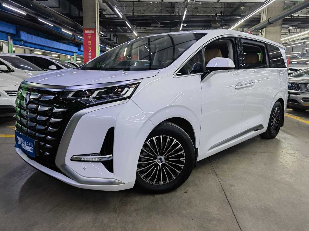 Denza DENZA 2024 car image #2