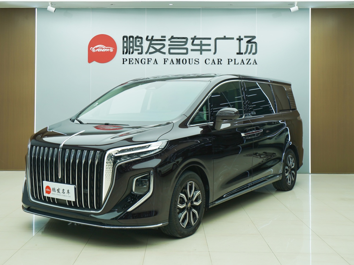HongQi HQ9 2023 #2 HongQi HQ9 2023 car image #2