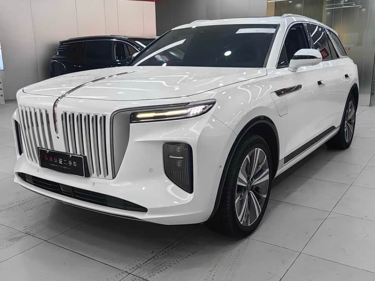 HongQi E-HS9 2023 car image #2