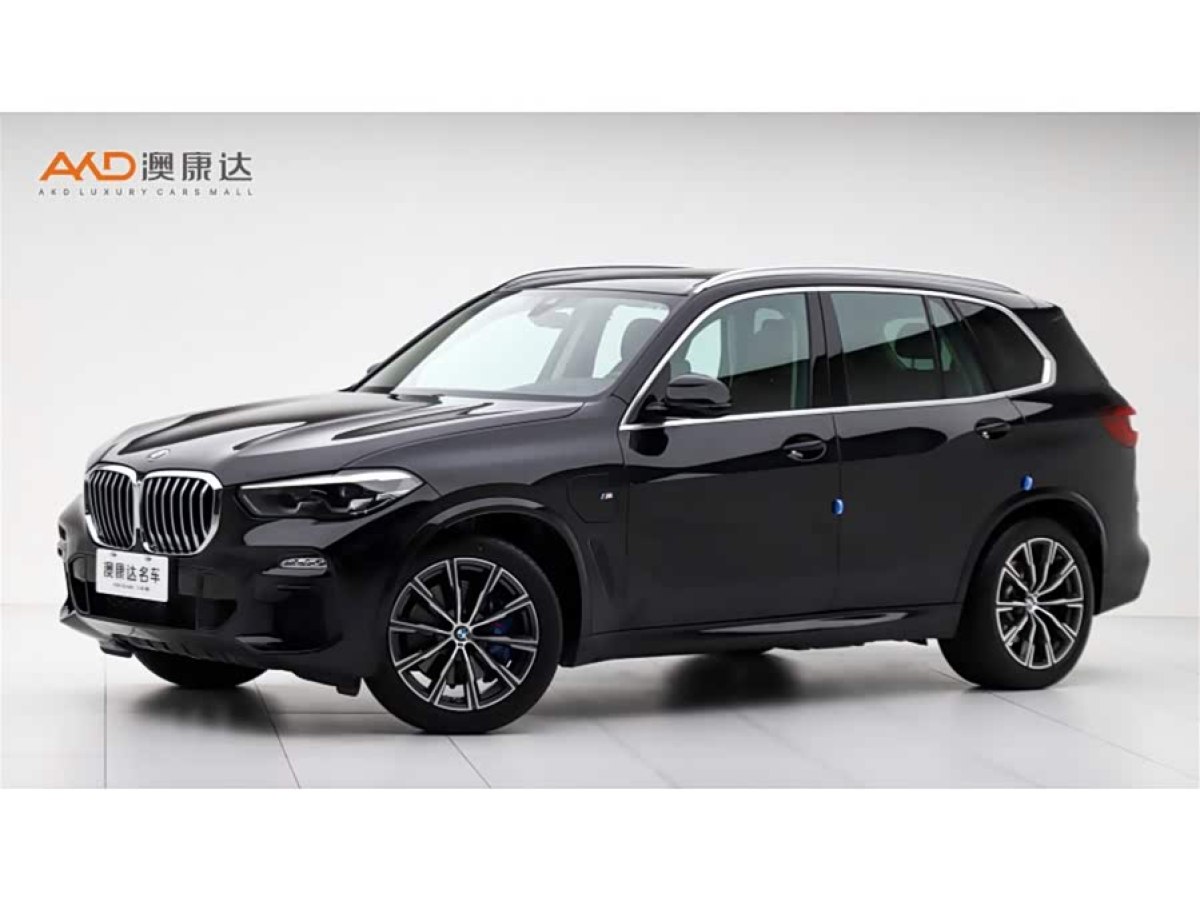 BMW X5 New Energy (Imported) 2021 car image #2
