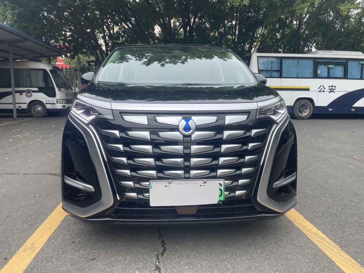 Denza DENZA 2024 car image #2