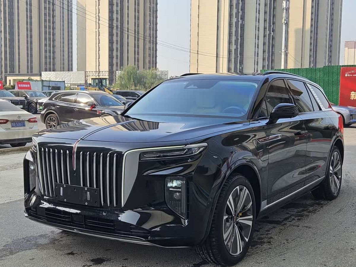 HongQi E-HS9 2022 #2 HongQi E-HS9 2022 immagine di auto #2
