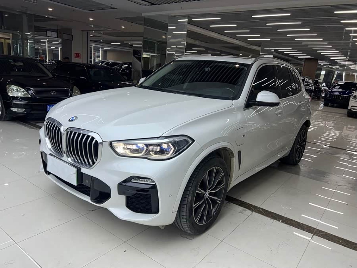 BMW X5 New Energy (Imported) 2021 car image #2