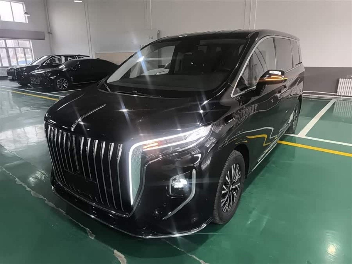 HongQi HQ9 PHEV 2024 car image #2