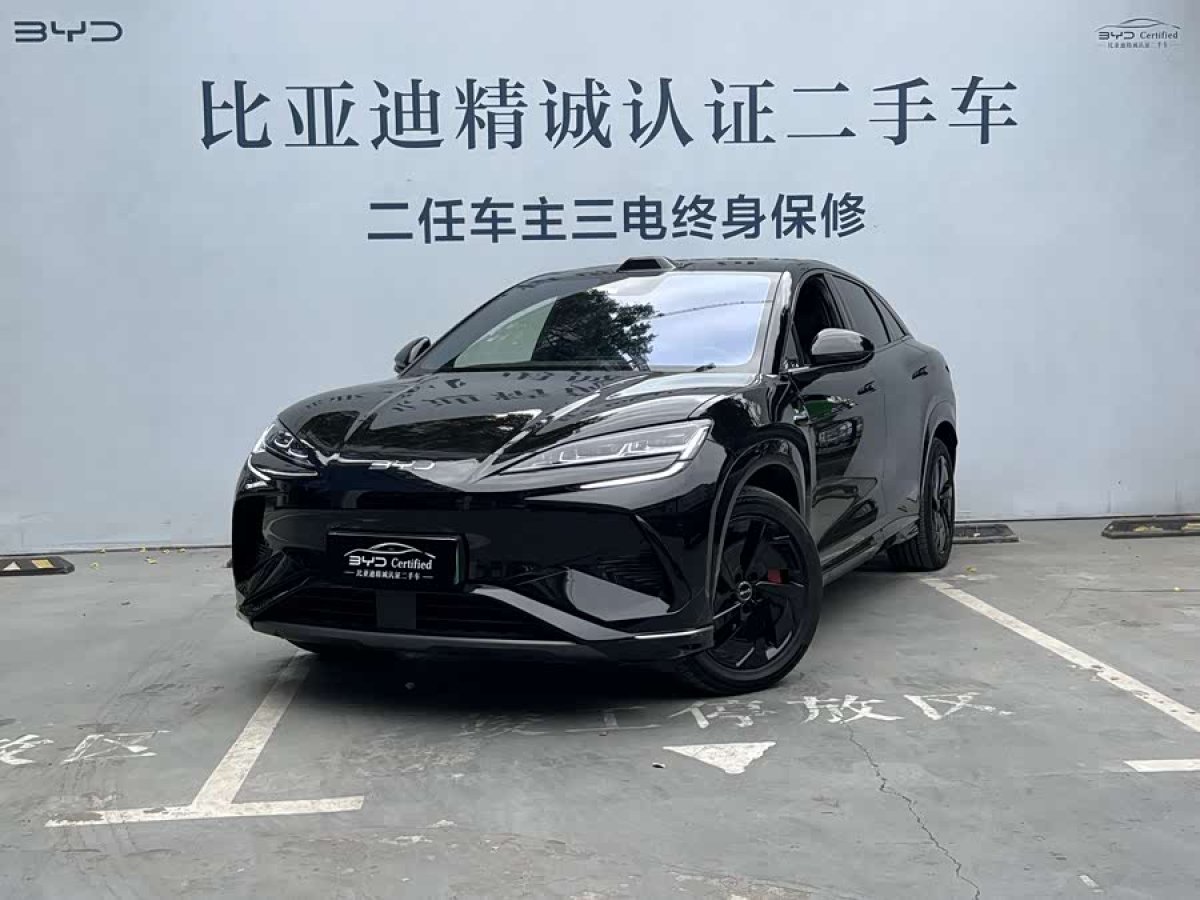 BYD Sea Lion 07 EV 2025 car image #2