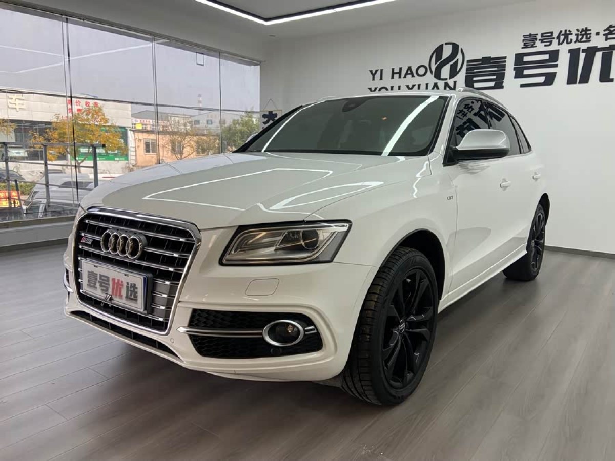 Audi SQ5 2013 imagem de carro #2