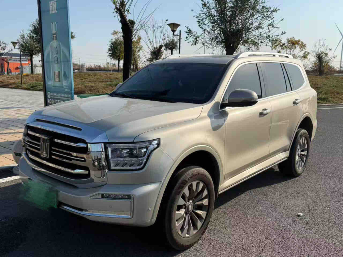 Tank 300 New Energy 2025 #2 Tank 300 New Energy 2025 imagem de carro #2