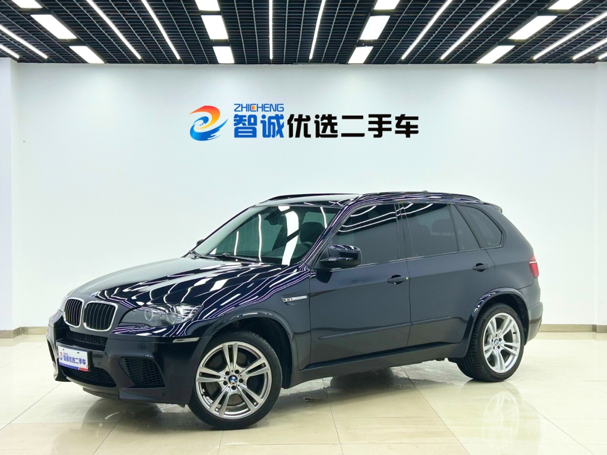 BMW X5 M 2010 car image #2