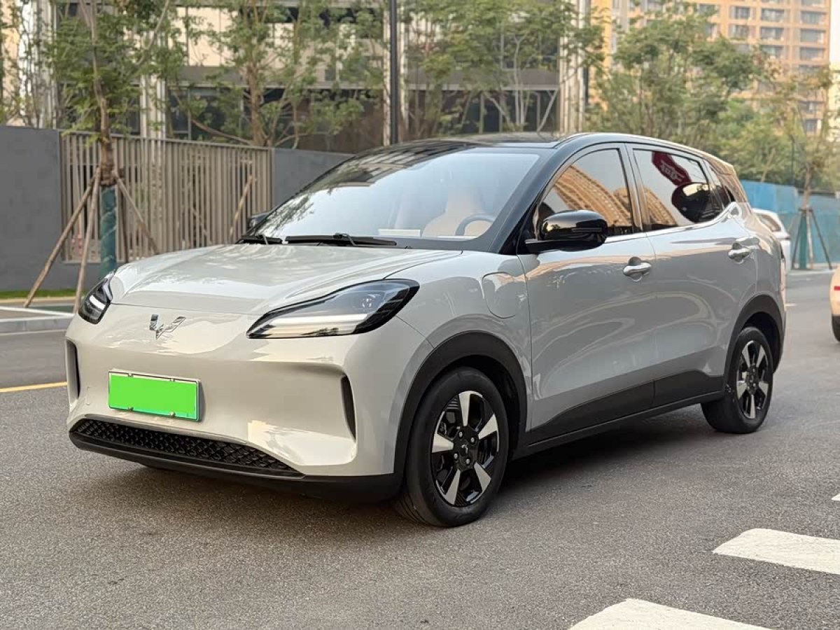 五菱汽车 五菱缤果PLUS 2024 #2 五菱汽车 五菱缤果PLUS 2024 汽车图片 #2