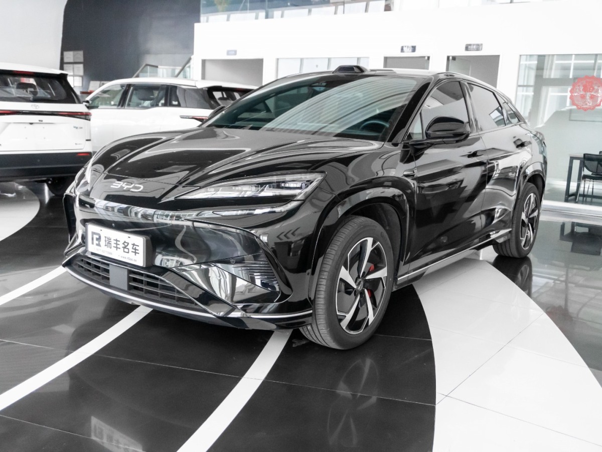 BYD Sea Lion 07 EV 2025 car image #2