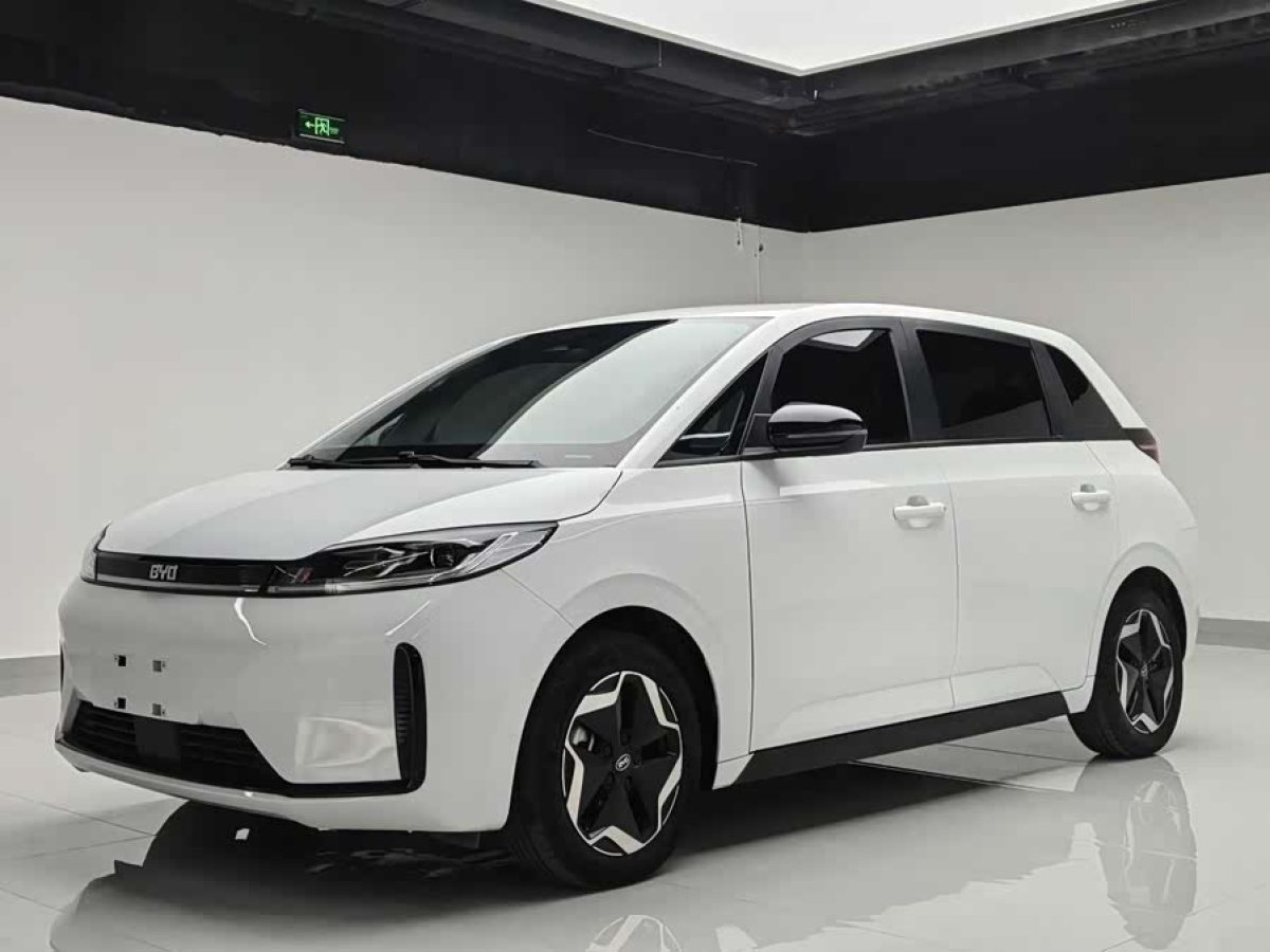 BYD D1 2023 car image #2