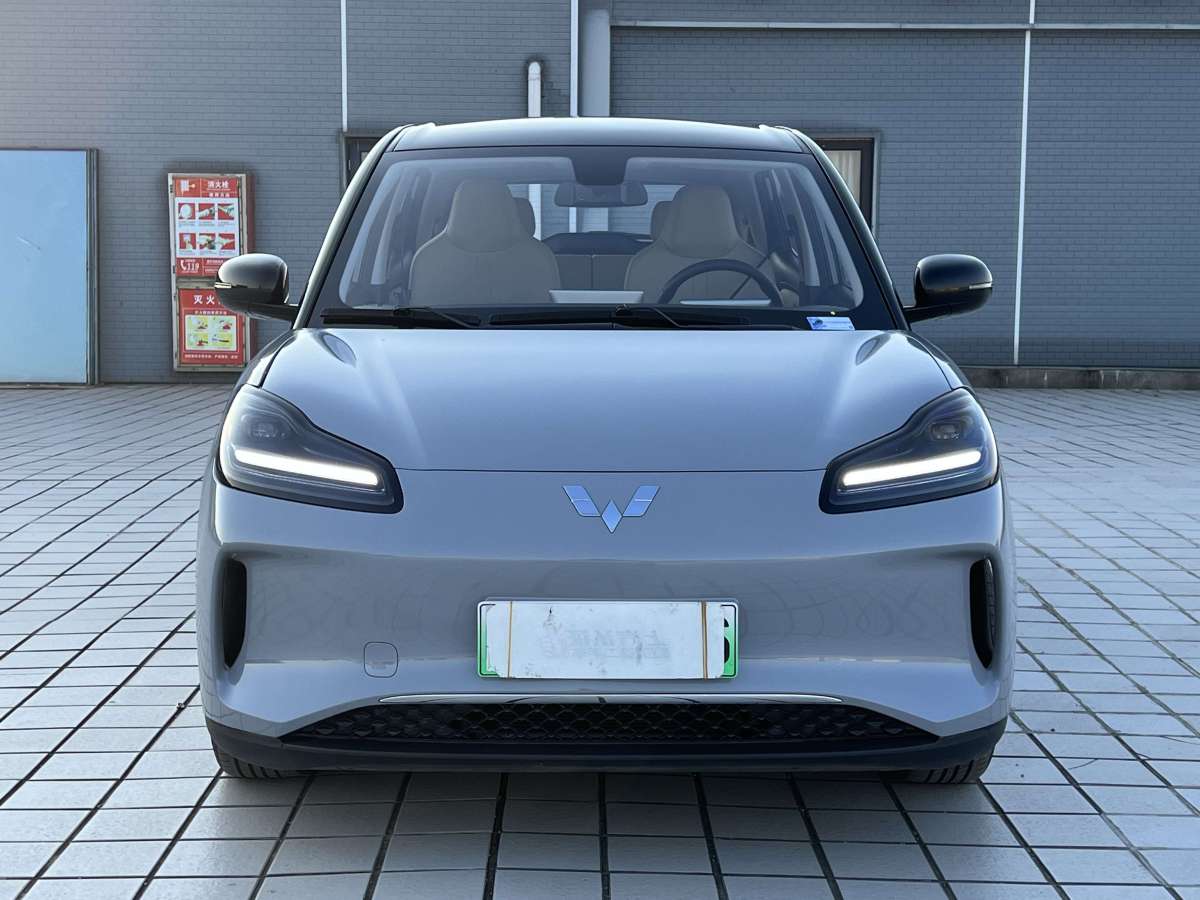 五菱汽车 五菱缤果PLUS 2024 汽车图片 #2