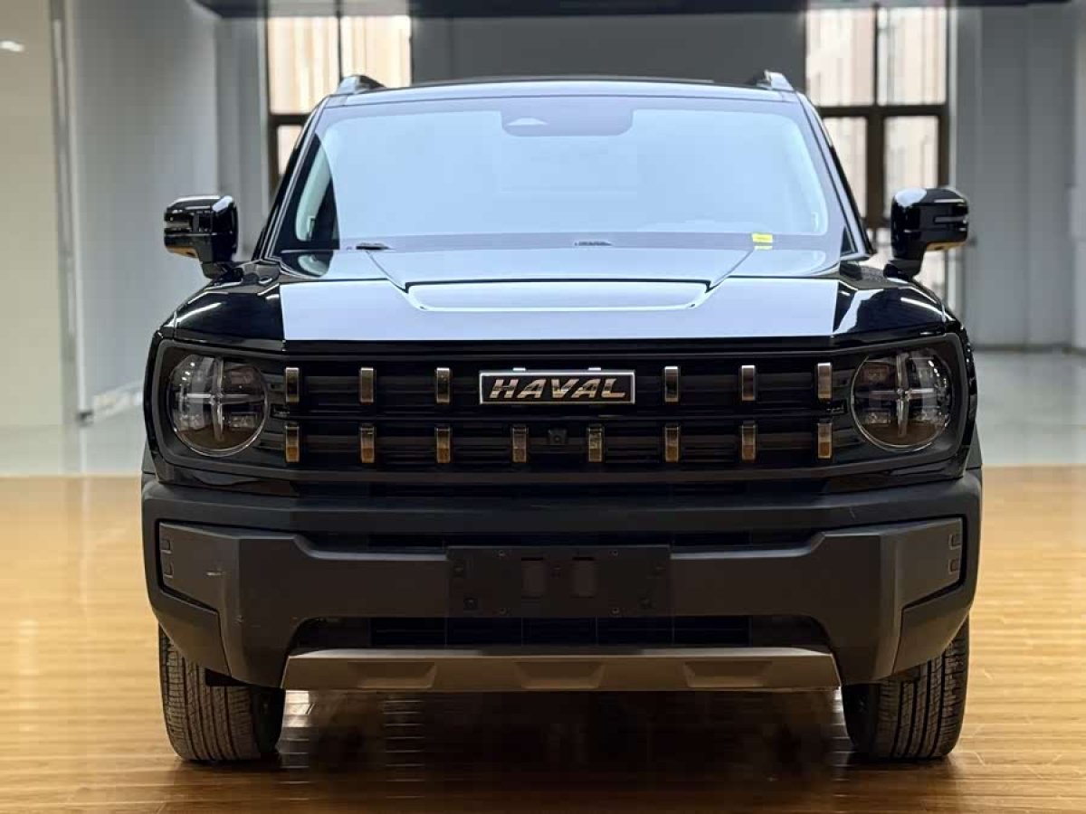 Haval Dargo 2023 car image #2