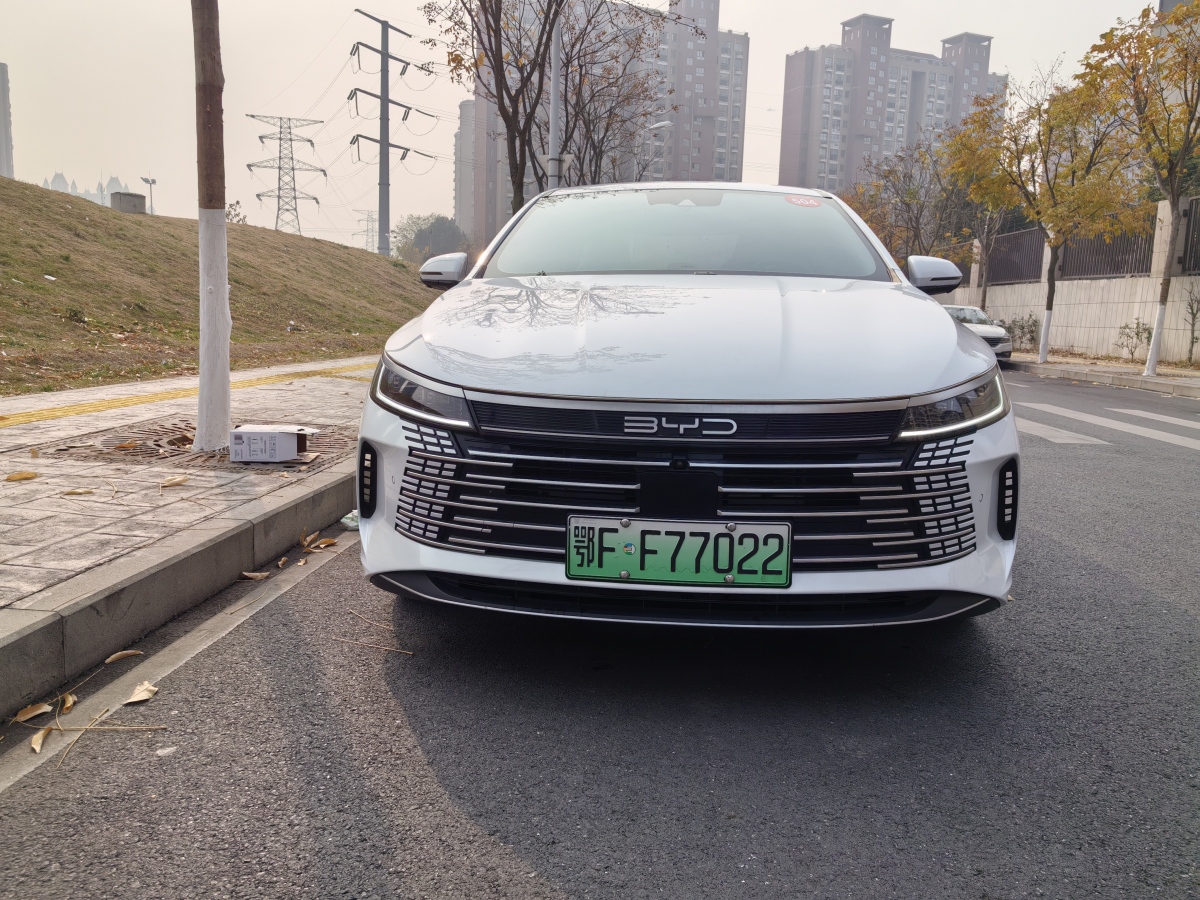 BYD Destroyer 05 2022 car image #2