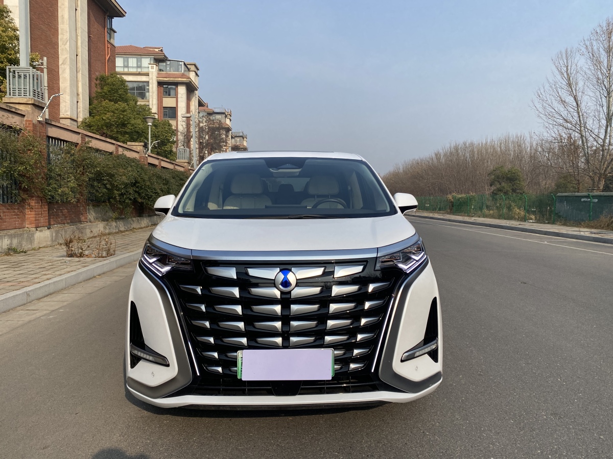 Denza D9 2024 imagen de coche #2