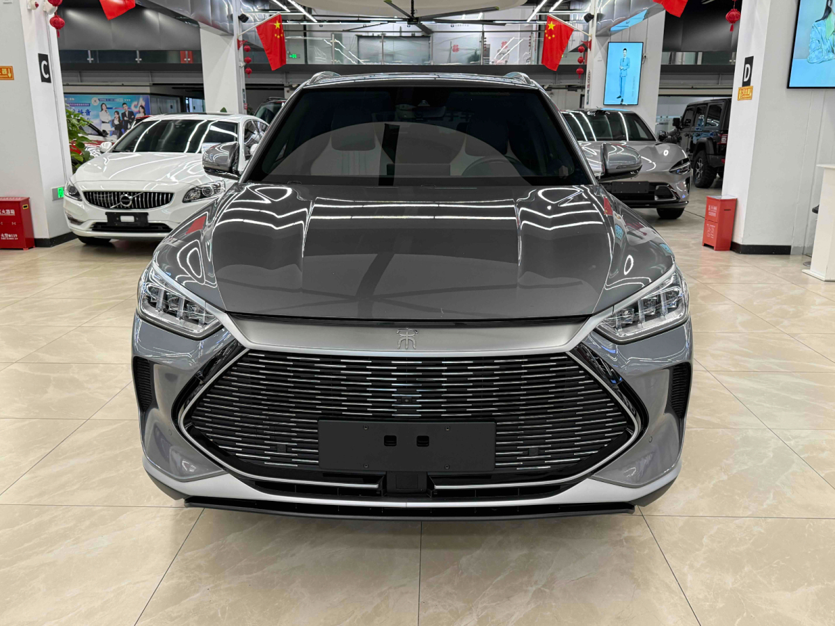 BYD Song Plus New Energy 2022 car image #2