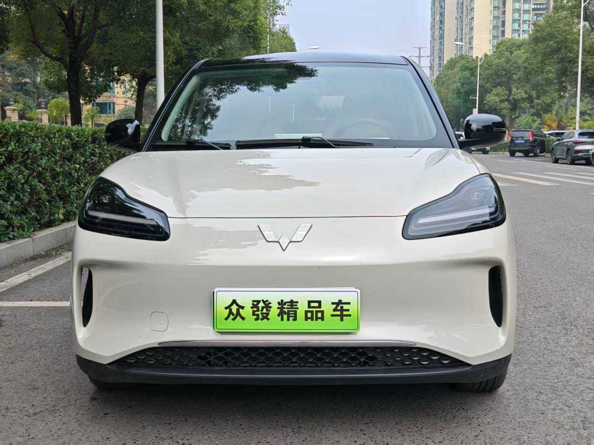 五菱汽车 五菱缤果PLUS 2024 汽车图片 #2