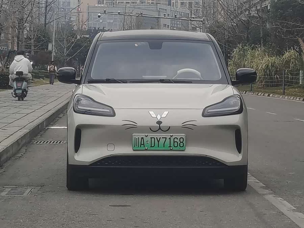 五菱汽车 五菱缤果PLUS 2024 汽车图片 #2