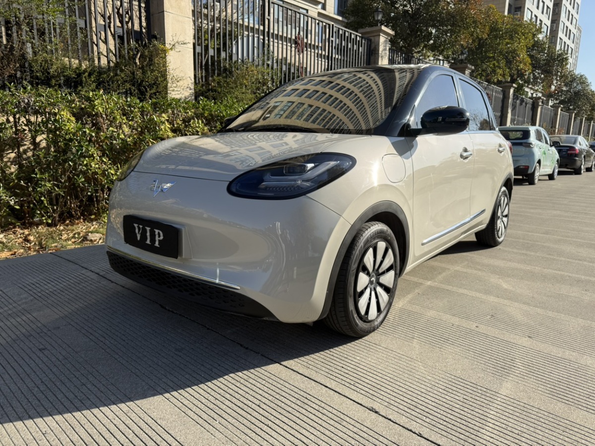 五菱汽车 五菱缤果 2024 汽车图片 #2