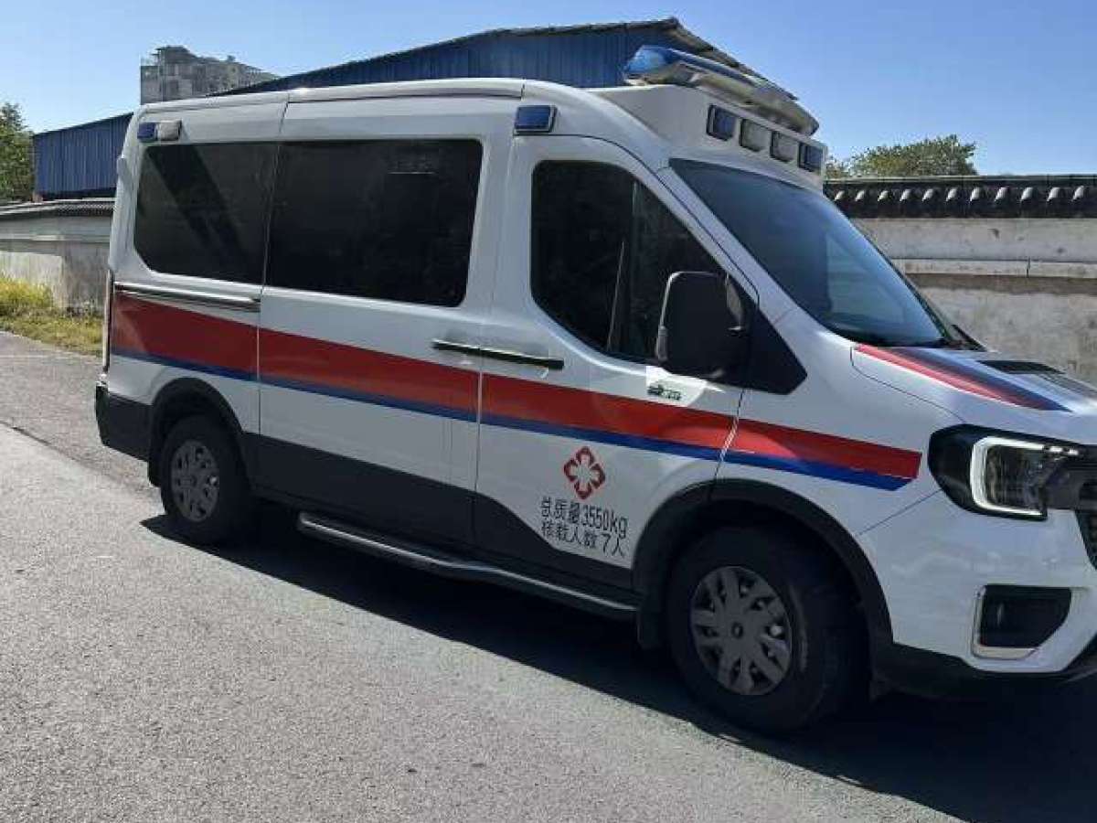 Ford Transit T8 2024 car image #2