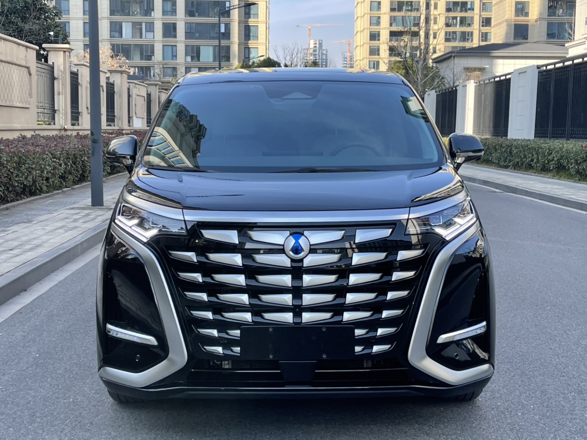 Denza D9 2023 #2 Denza D9 2023 car image #2