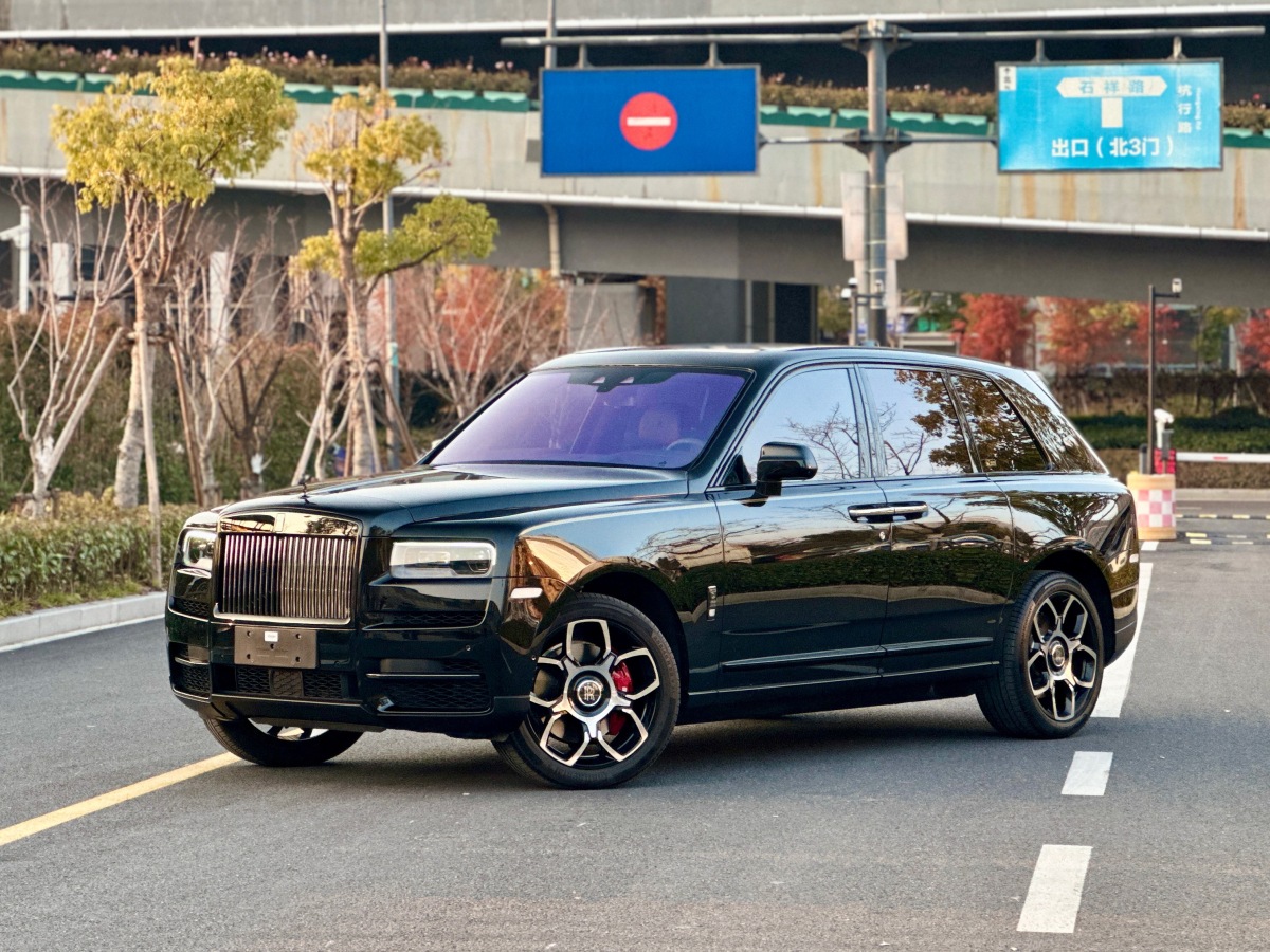 Rolls-Royce Cullinan 2022 immagine di auto #2
