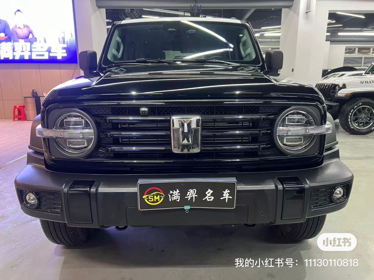 Tank 300 2022 car image #2