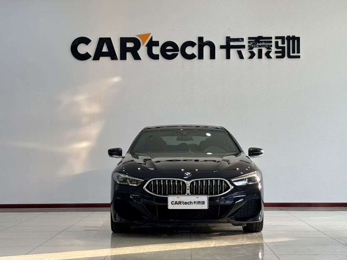 BMW 8 Series 2022 #2 BMW 8 Series 2022 car image #2