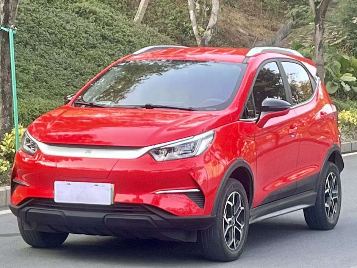BYD Yuan Pro 2021 immagine di auto #2