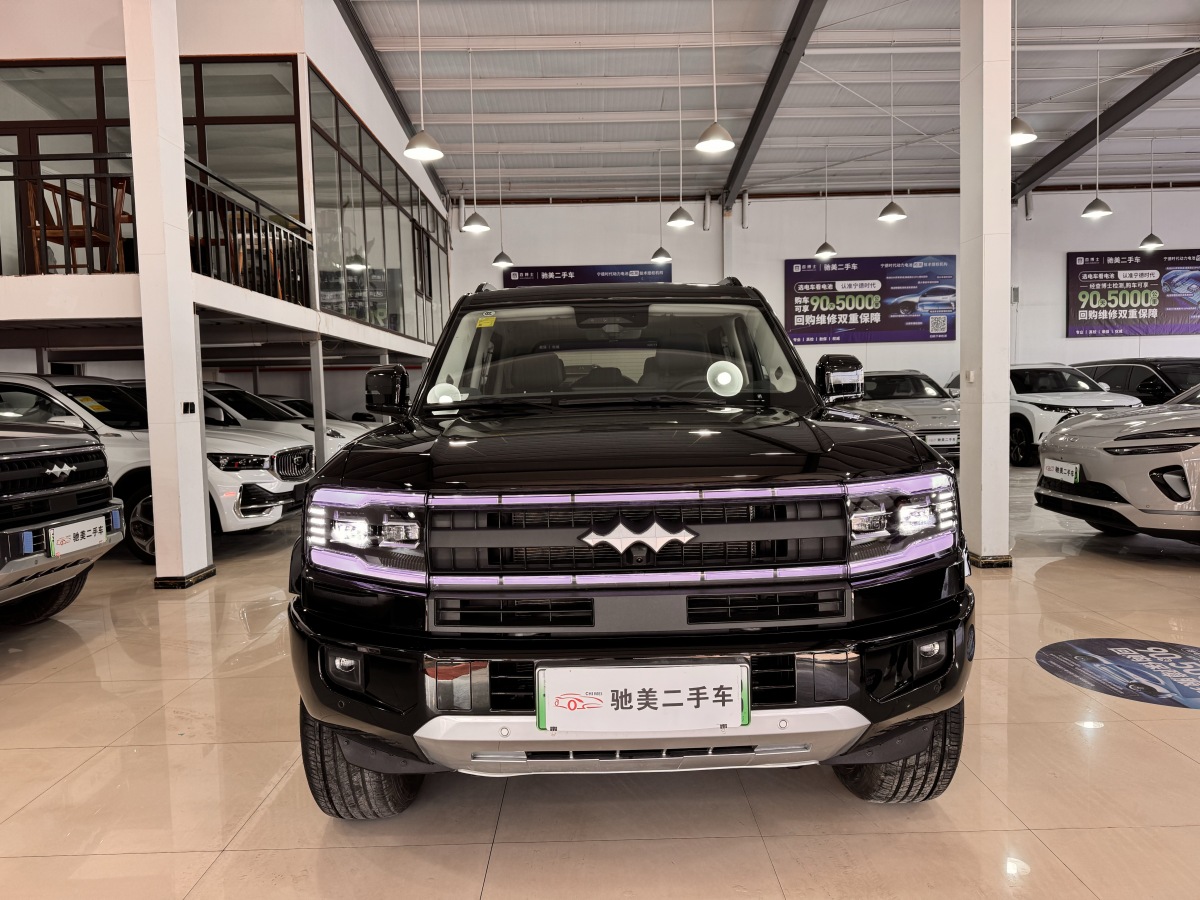 FangChengBao Leopard 5 2025 car image #2