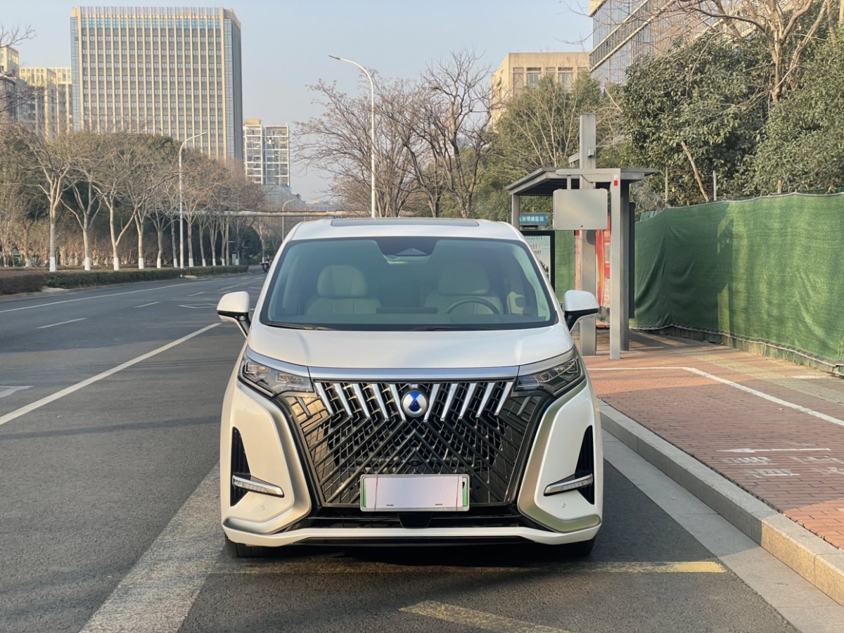 腾势 腾势D9 2023 汽车图片 #2