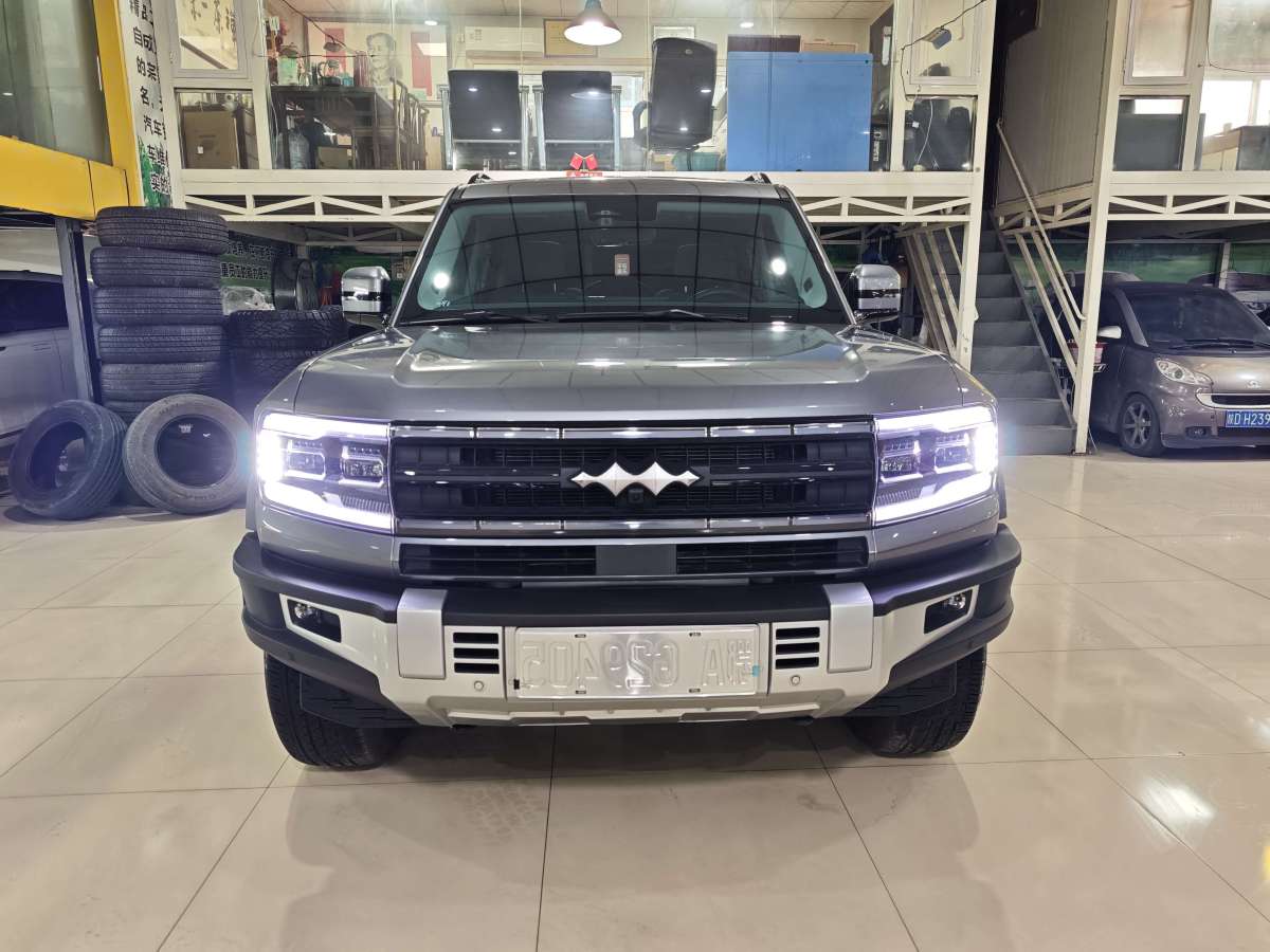 FangChengBao Leopard 5 2024 car image #2