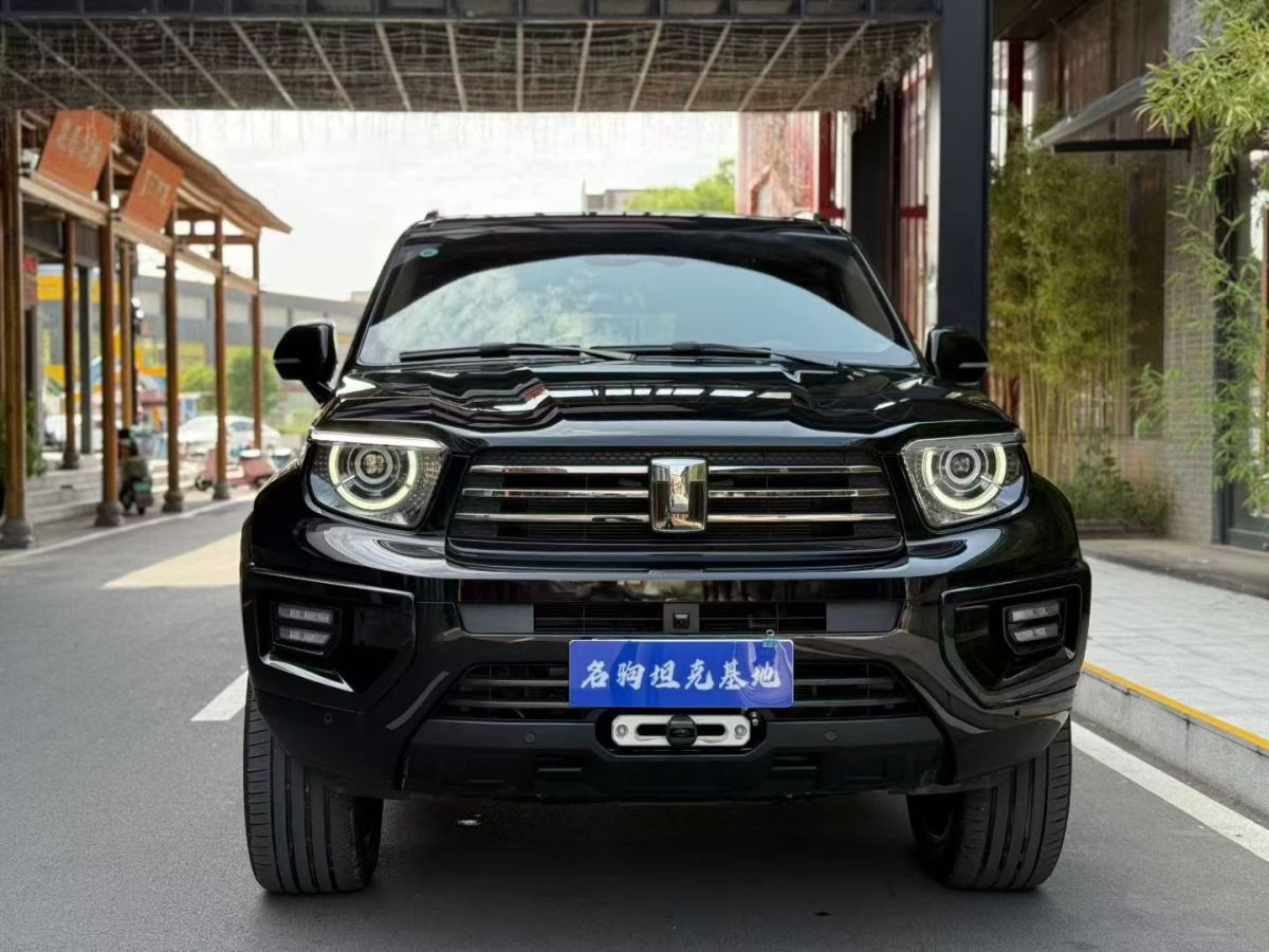 Tank 700 New Energy 2024 immagine di auto #2