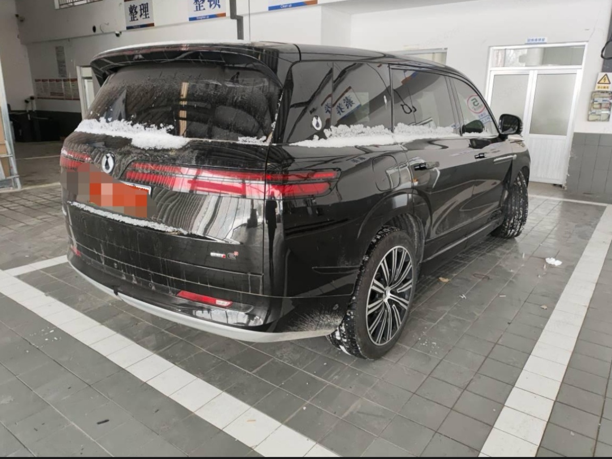 Denza N9 2025 imagem de carro #2